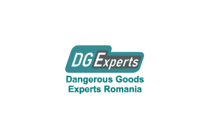DG Experts logo